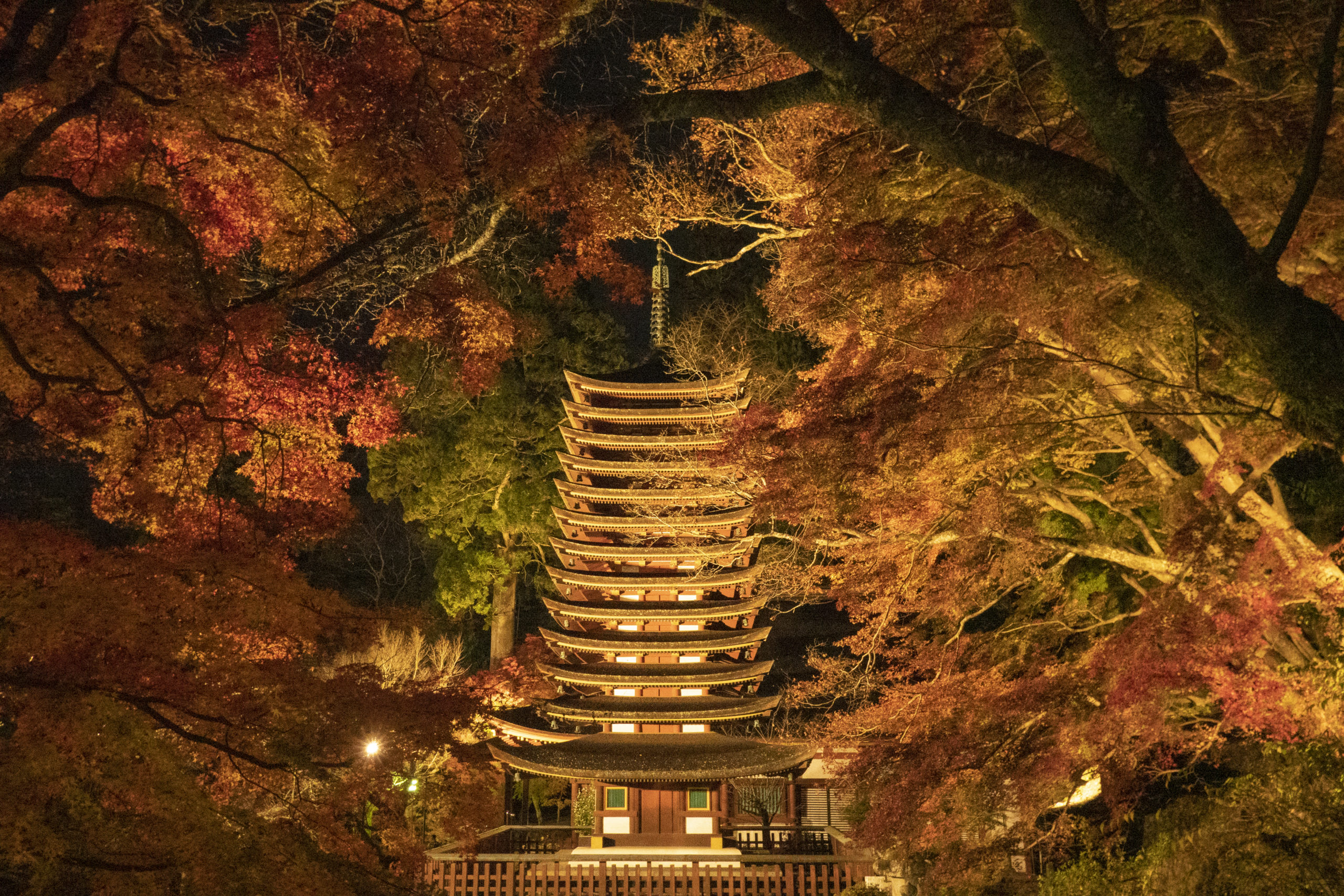 奈良県中部で紅葉ライトアップを見るならここ!秋の談山神社が幻想的だった