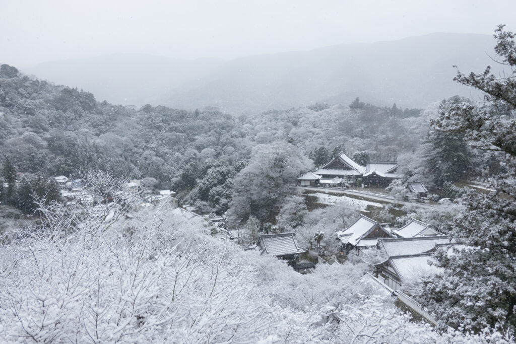 花の御寺 は冬でも美しい 雪の奈良 長谷寺を満喫してきた 旅と雑貨と ときどきネコ