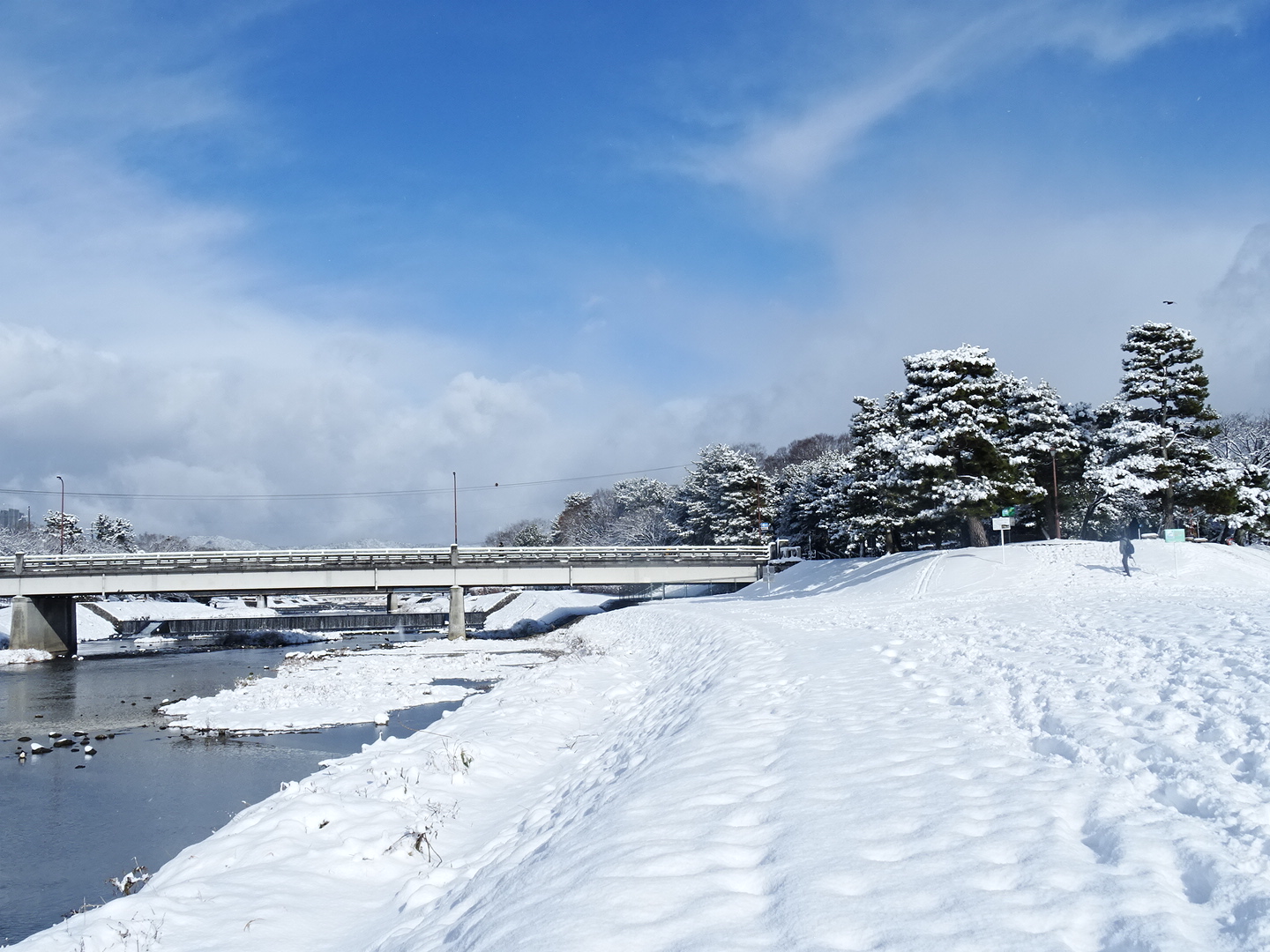 今年はどこいく？雪の京都