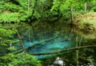 感動の透明感。神秘のブルーに出逢う　北海道・神の子池