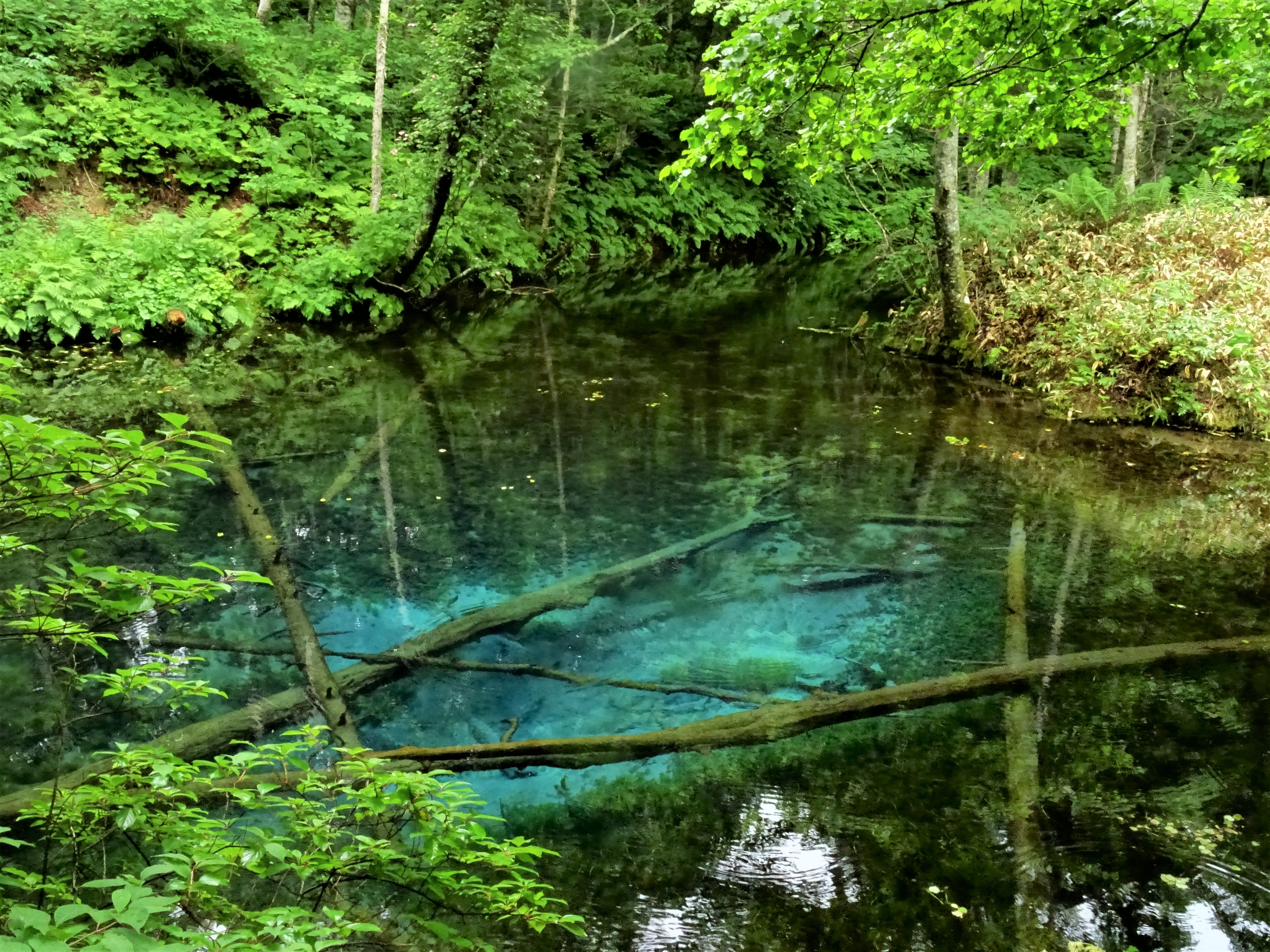 感動の透明感。神秘のブルーに出逢う　北海道・神の子池