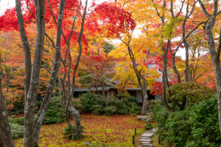 紅に包まれるお庭。紅葉は嵐山の穴場・大河内山荘がオススメ！