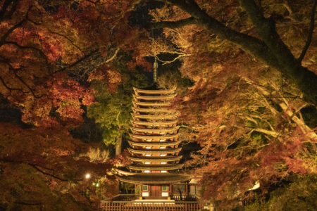 奈良県中部で紅葉ライトアップを見るならここ！秋の談山神社が幻想的だった
