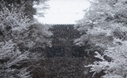 静かな洛北の朝。雪降る神護寺・金閣寺をめぐった